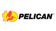 pelican